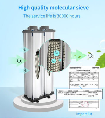 Equipamento do concentrador do oxigênio da peneira molecular da pureza 5L de 96% para o uso do hospital