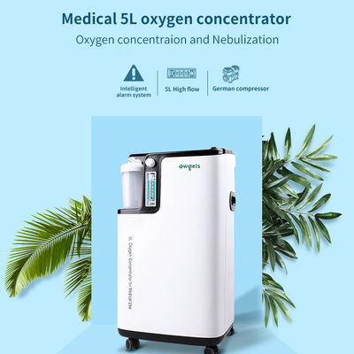 FDA médico de baixo nível de ruído atomizador do concentrador do oxigênio de 5 litros